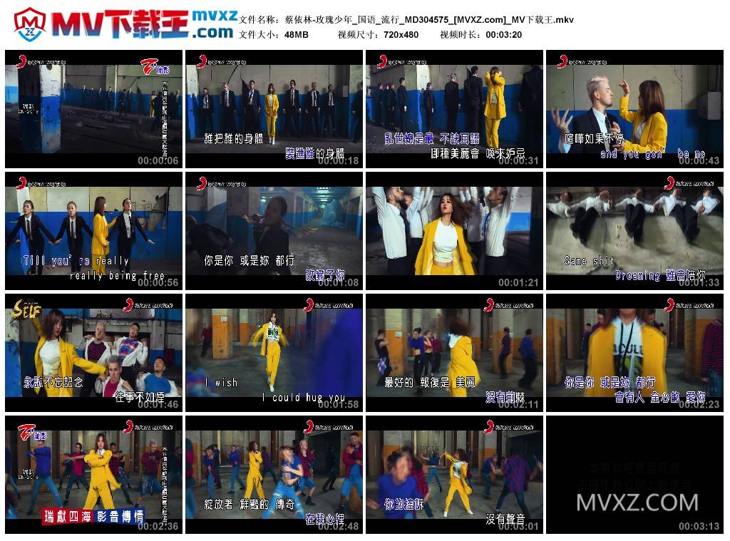 蔡依林-玫瑰少年_国语_流行_MD304575